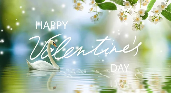 Feliz Día San Valentín Con Dos Cisnes Enamorados Que Con — Foto de Stock