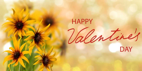 Happy valentines day with beautiful flowers on colorful background — Stock Photo, Image