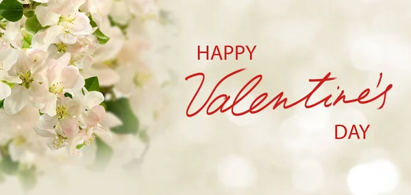 Happy valentines day with beautiful flowers on colorful background — 스톡 사진