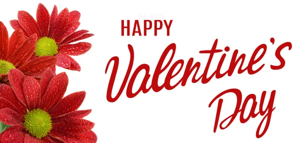 Happy Valentines Day Beautiful Festive Flowers White Background — 스톡 사진