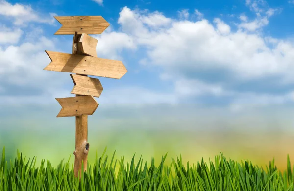 wooden signposts against the sky