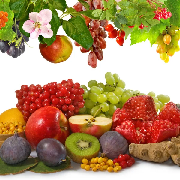 Image Lot Fruit Close — Stock Photo, Image
