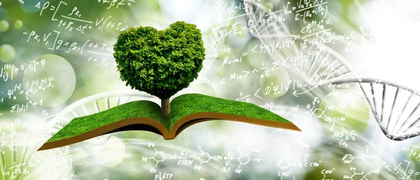 Uma Imagem Estilizada Uma Árvore Forma Coração Livros Sobre Fundo — Fotografia de Stock