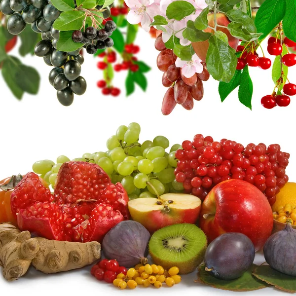 Image Lot Fruit Close — Stock Photo, Image
