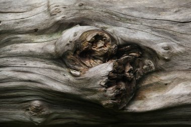  ahşap doku arkaplanı