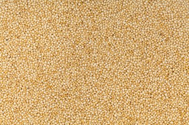 Vejetaryen Quinoa arka plan