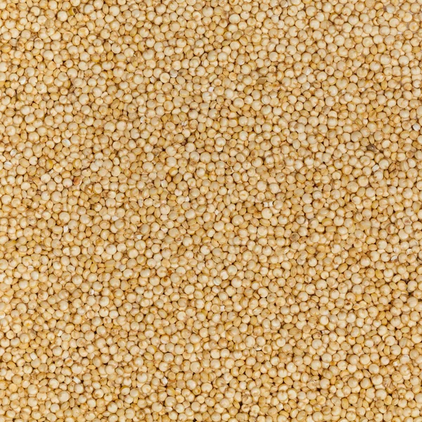 Vegetarischer Quinoa-Hintergrund — Stockfoto
