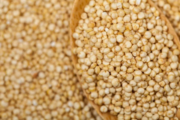 Closeup de fundo de quinoa — Fotografia de Stock