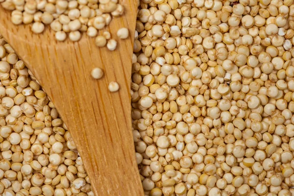 Closeup de fundo de quinoa — Fotografia de Stock