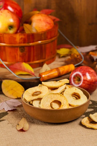 Homemade Dried Apples — Stock Photo, Image