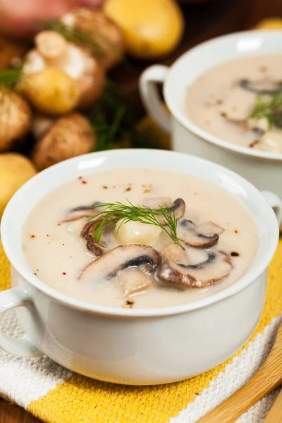 Zupa ziemniaczana z grzybami — Zdjęcie stockowe