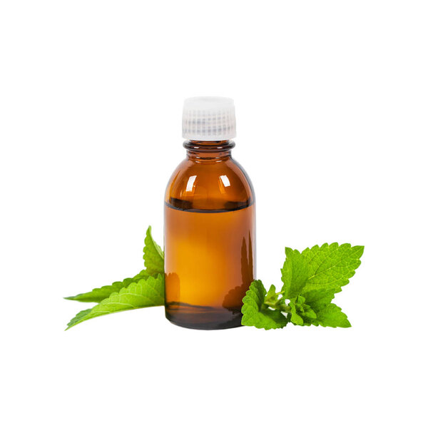 Bottle of Mint Oil and Fresh Mint