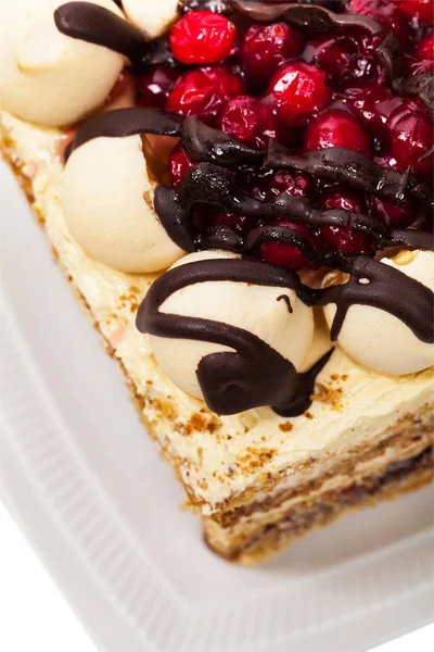 クランベリー チョコレートの層のケーキ — ストック写真