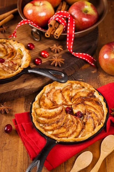 Apple Pan Pie with Cinnamon — Stock Photo, Image