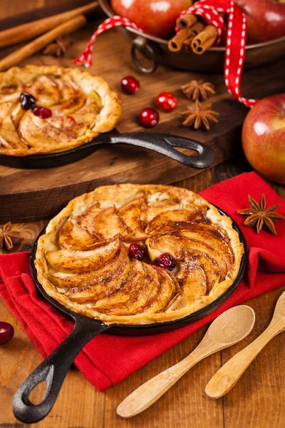 Apple Pan Pie with Cinnamon — Stock Photo, Image