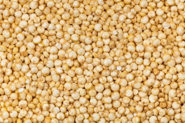 Quinoa arka plan bakış