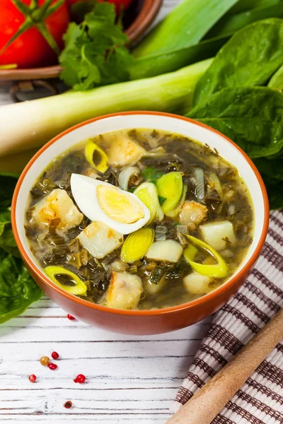 Zuppa verde con spinaci — Foto Stock