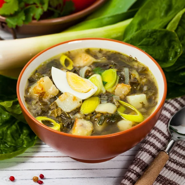 Sopa verde com espinafre — Fotografia de Stock