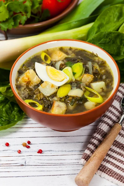 Sopa verde com espinafre — Fotografia de Stock