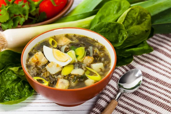 Зелений суп з шпинату — стокове фото