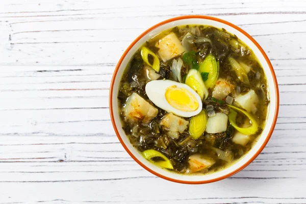 Sopa verde com espinafre — Fotografia de Stock