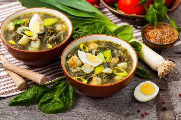 Sopa de Verão com Espinafre, Batata e Sorrel — Fotografia de Stock