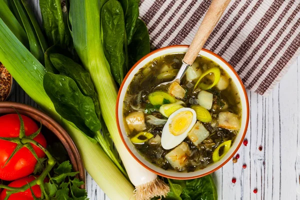 Sopa de Verão com Espinafre, Batata e Sorrel — Fotografia de Stock