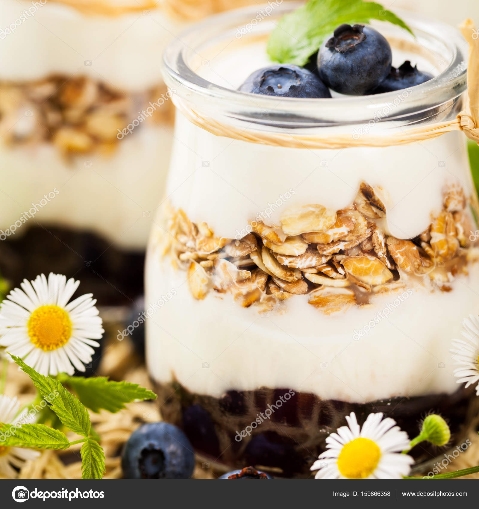 Yogurt Dessert with Blueberries — Stock Photo © alisafarov 159866358