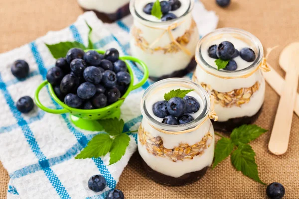 Dessert allo yogurt con mirtilli — Foto Stock