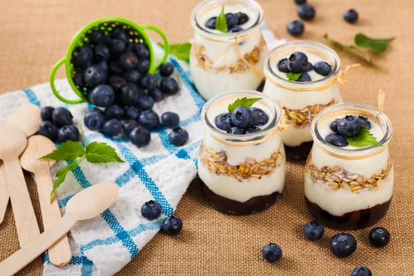 Dessert allo yogurt con mirtilli — Foto Stock