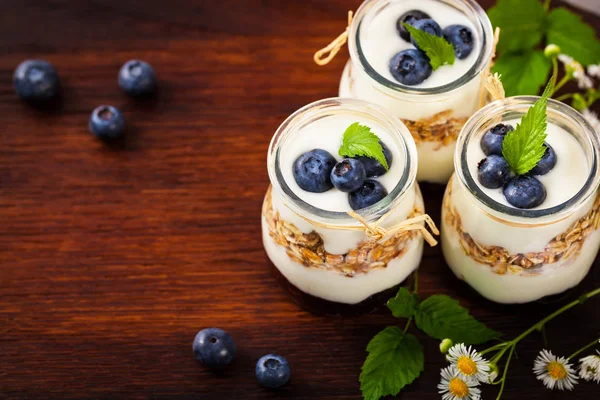 Griekse yoghurt Dessert met bosbessen — Stockfoto