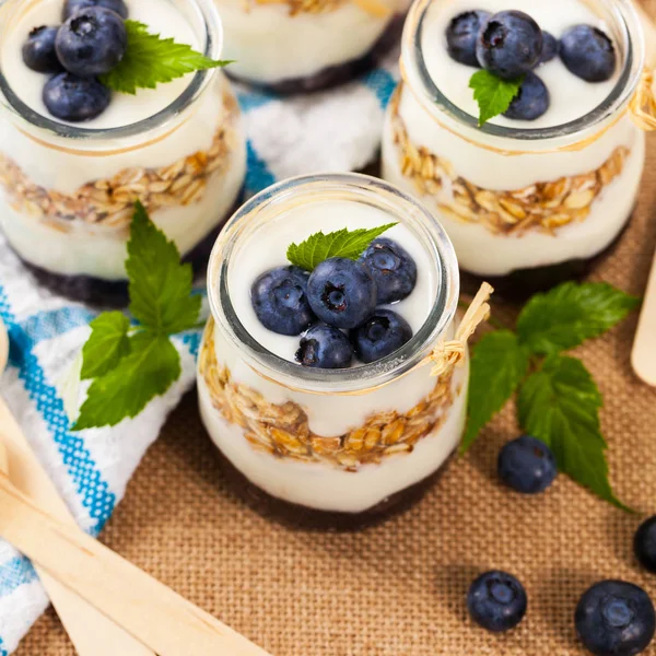 Griekse yoghurt Dessert met bosbessen — Stockfoto