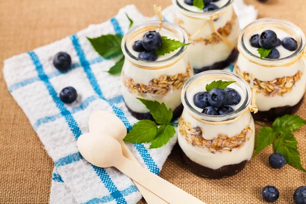 Dessert allo yogurt greco con mirtilli — Foto Stock