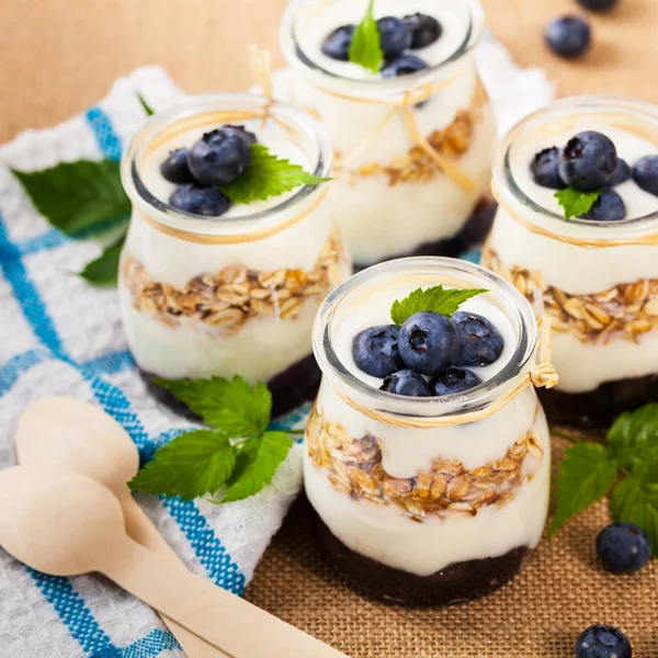 Dessert allo yogurt greco con mirtilli — Foto Stock