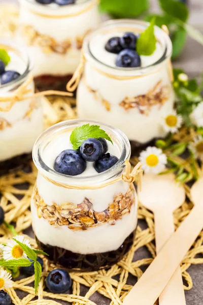 Griekse yoghurt Dessert met bosbessen — Stockfoto