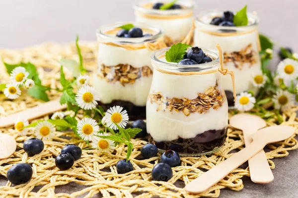 Dessert allo yogurt greco con mirtilli — Foto Stock