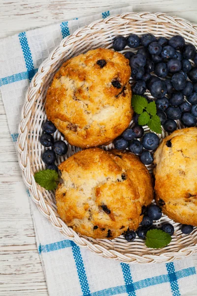 Conetti di mirtilli Pasticceria — Foto Stock