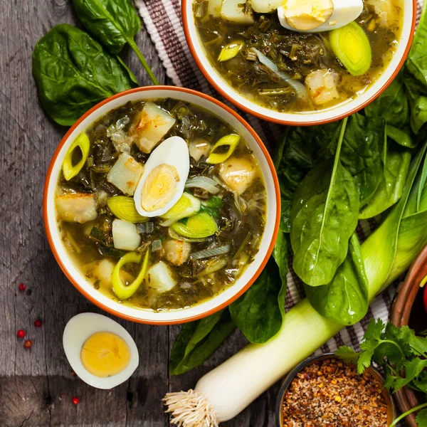 Sopa verde com espinafre — Fotografia de Stock