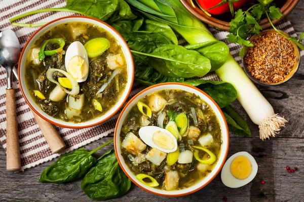 Sopa verde com espinafre — Fotografia de Stock