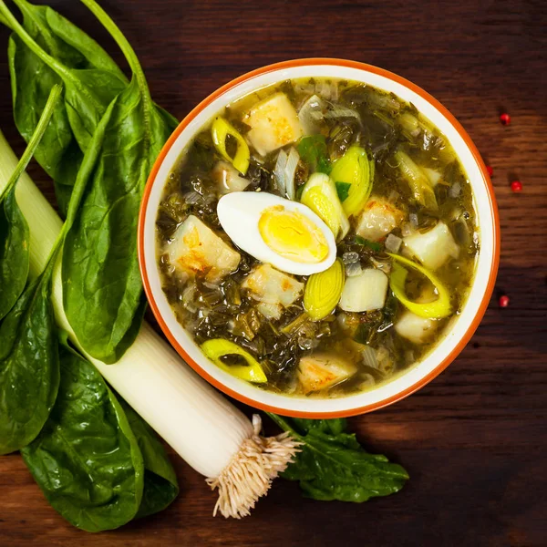 Sopa verde com espinafre — Fotografia de Stock