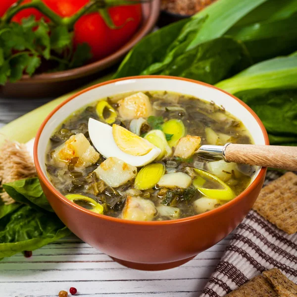 Sopa verde com espinafre — Fotografia de Stock