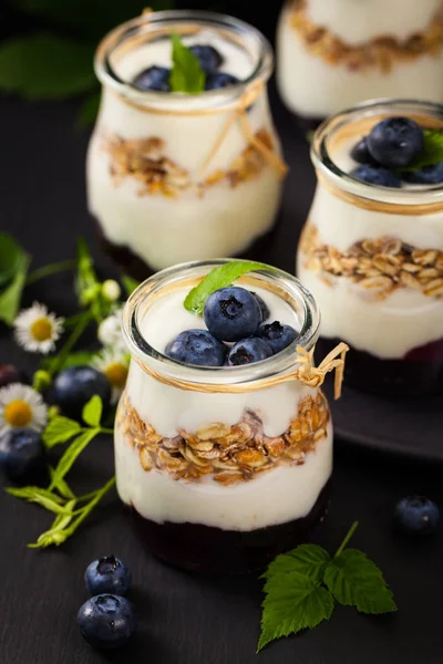 Yoghurt Dessert met bosbessen — Stockfoto