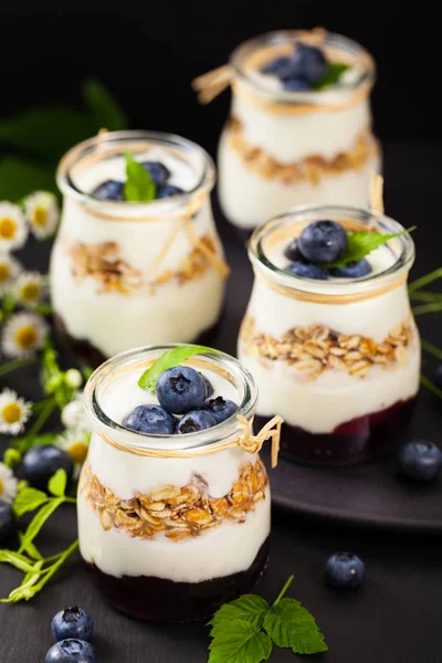 Yoghurt Dessert met bosbessen — Stockfoto