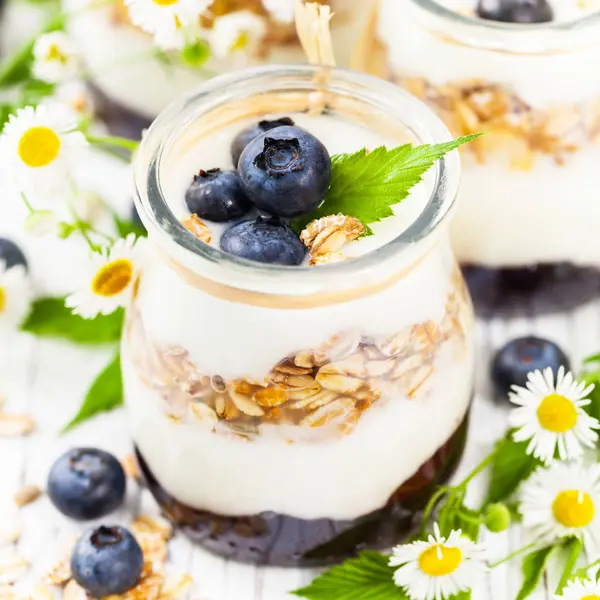希腊酸奶与蓝莓和燕麦糕 选择性聚焦 — 图库照片