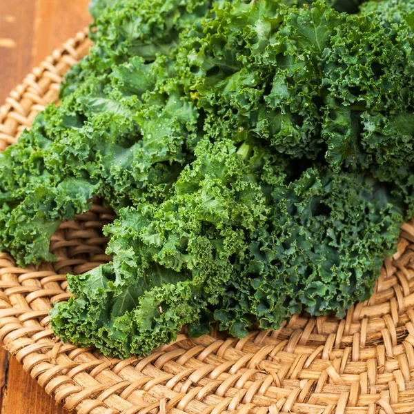 Kale Leaf Cabbage Selective Focus — Stock Photo, Image
