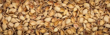 Fıstık kabukları. Boş Antep fıstığı kabuk. Panoramik görüntü. Seçici odak.