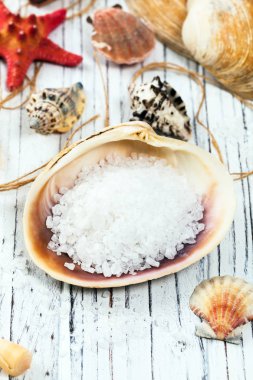 Kaba deniz tuzu. Seçici odak.