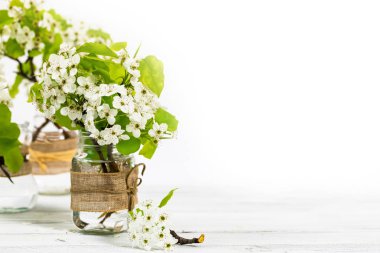 Beyaz arka planda güzel bahar elma çiçekleri. Kopya alanı olan Bahar Tasarımı Konsepti. Seçici odak.