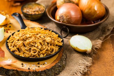 Crispy Fried Onion Strings. Selective focus.