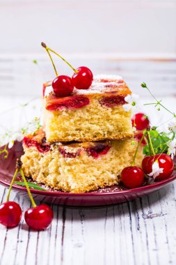 Yaz pudra şekeri ile Tart kiraz kek. Seçici odak.